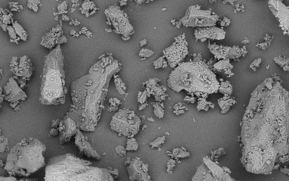 Pharmatose 450M Monohydrate Lactose Excipient