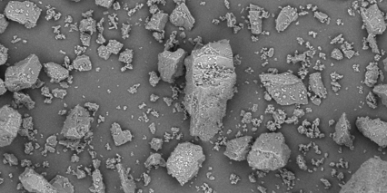 Pharmatose 350M Monohydrate Lactose Excipient