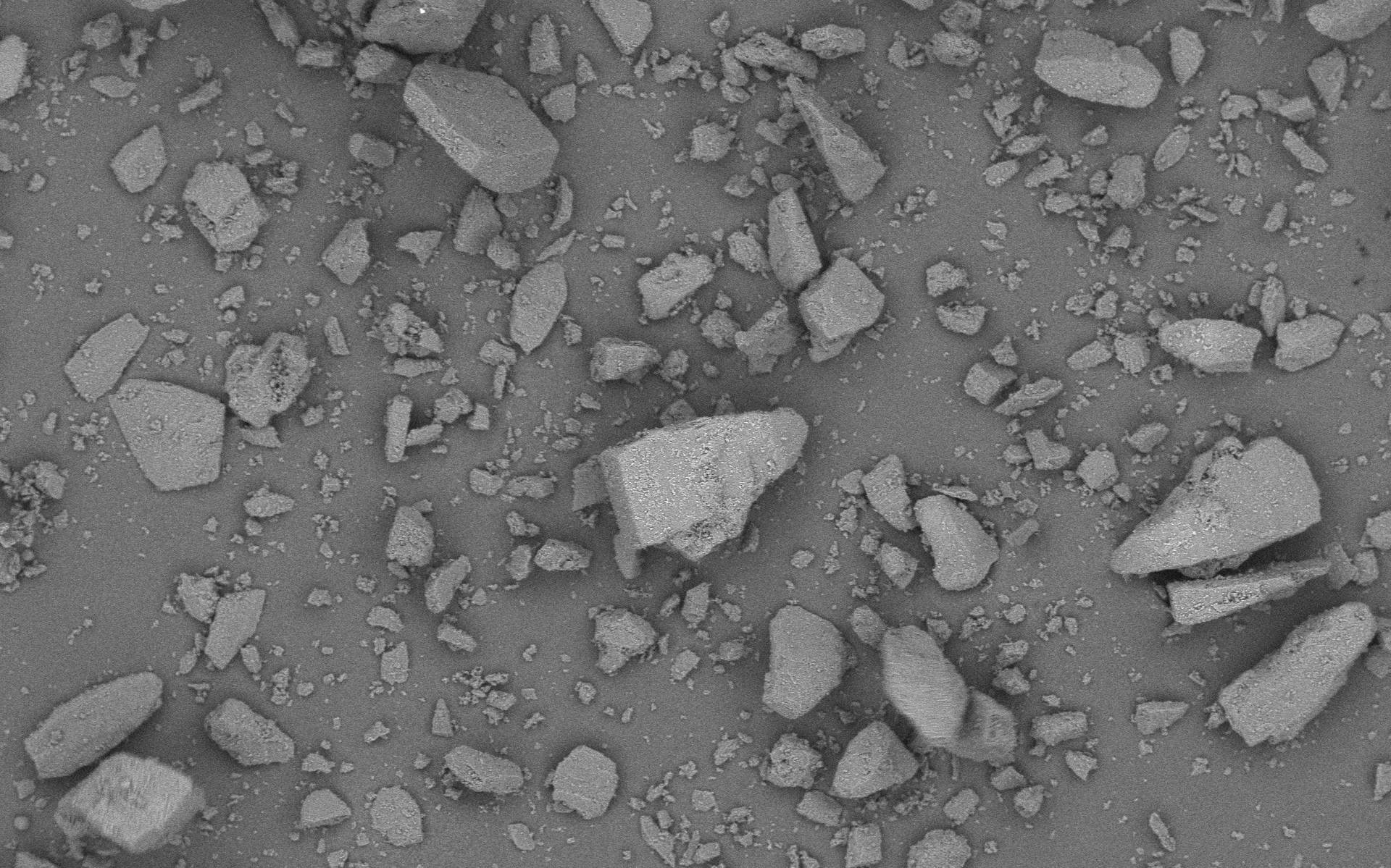 Lactochem Coarse Powder Monohydrate Lactose Excipient