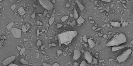 Lactochem Coarse Powder Monohydrate Lactose Excipient