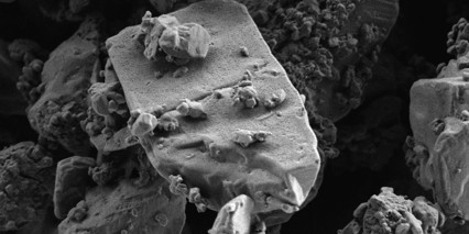Pharmatose 350
