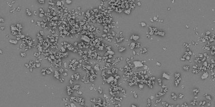 Lactochem Microfine Monohydrate Lactose Excipient
