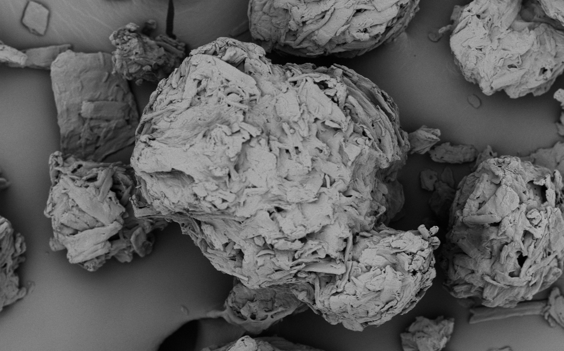 Pharmacel 200 Web Site