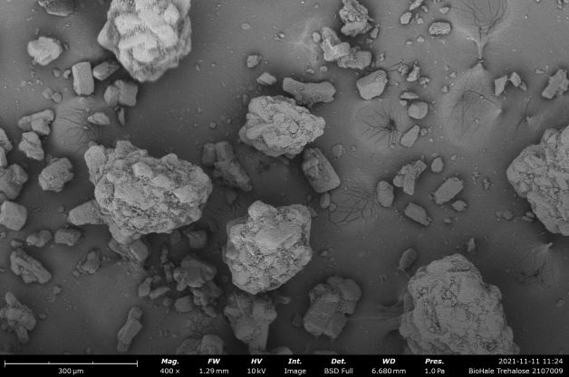 Biohale® Trehalose Dihydrate - DFE Pharma