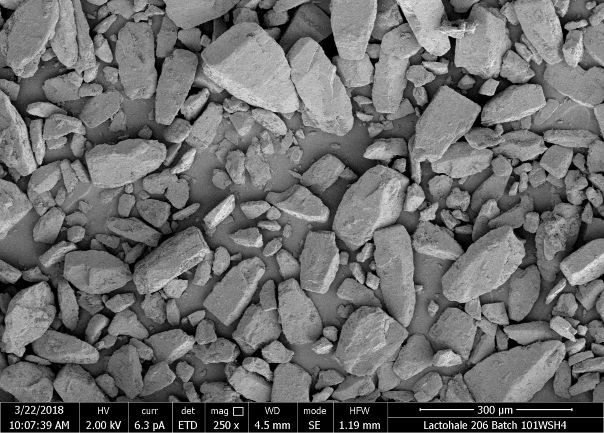 SEM Lactohale 206 Batch 101WSH4 002