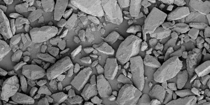 SEM Lactohale 206 Batch 101WSH4 002