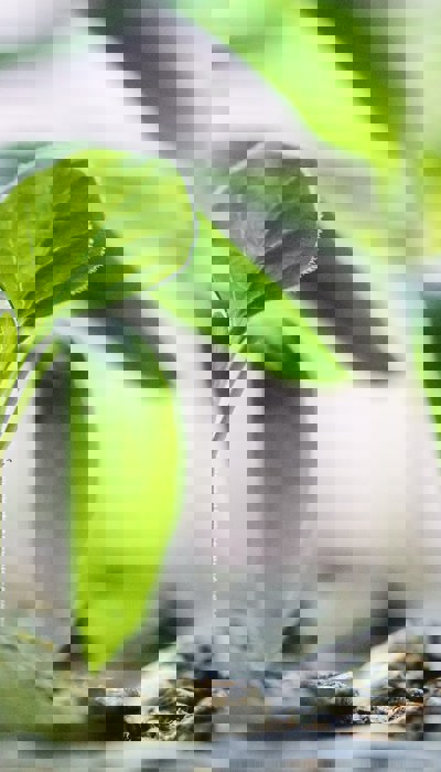 Francesco Gallarotti Ruqhpukrn7c Unsplash