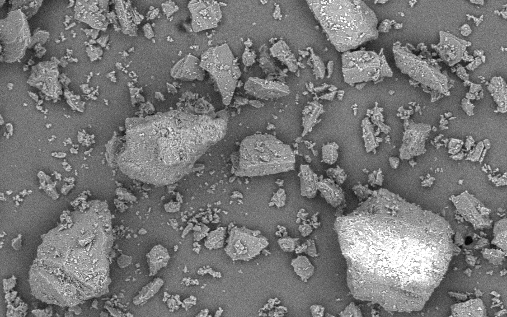 Pharmatose 350M Nz Monohydrate Lactose Excipient