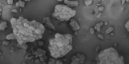 Biohale Trehalose Dihydrate Biopharma Excipient