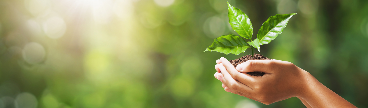 Shutterstock 1443475445