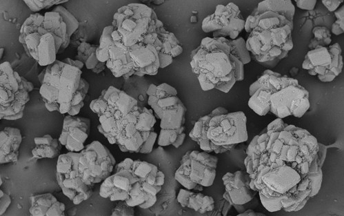 Biohale Sucrose Biopharma Excipient