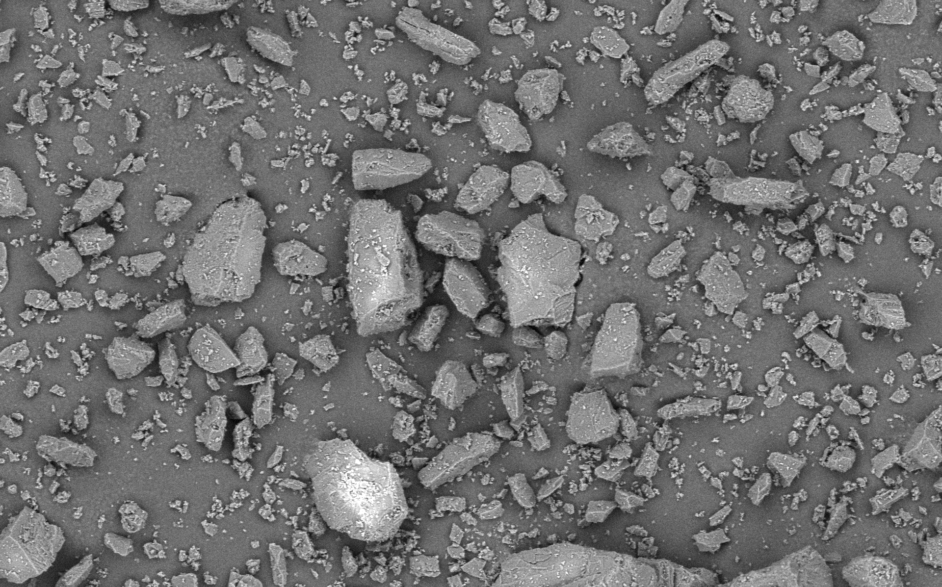 Lactochem Extra Fine Powder Monohydrate Lactose Excipient