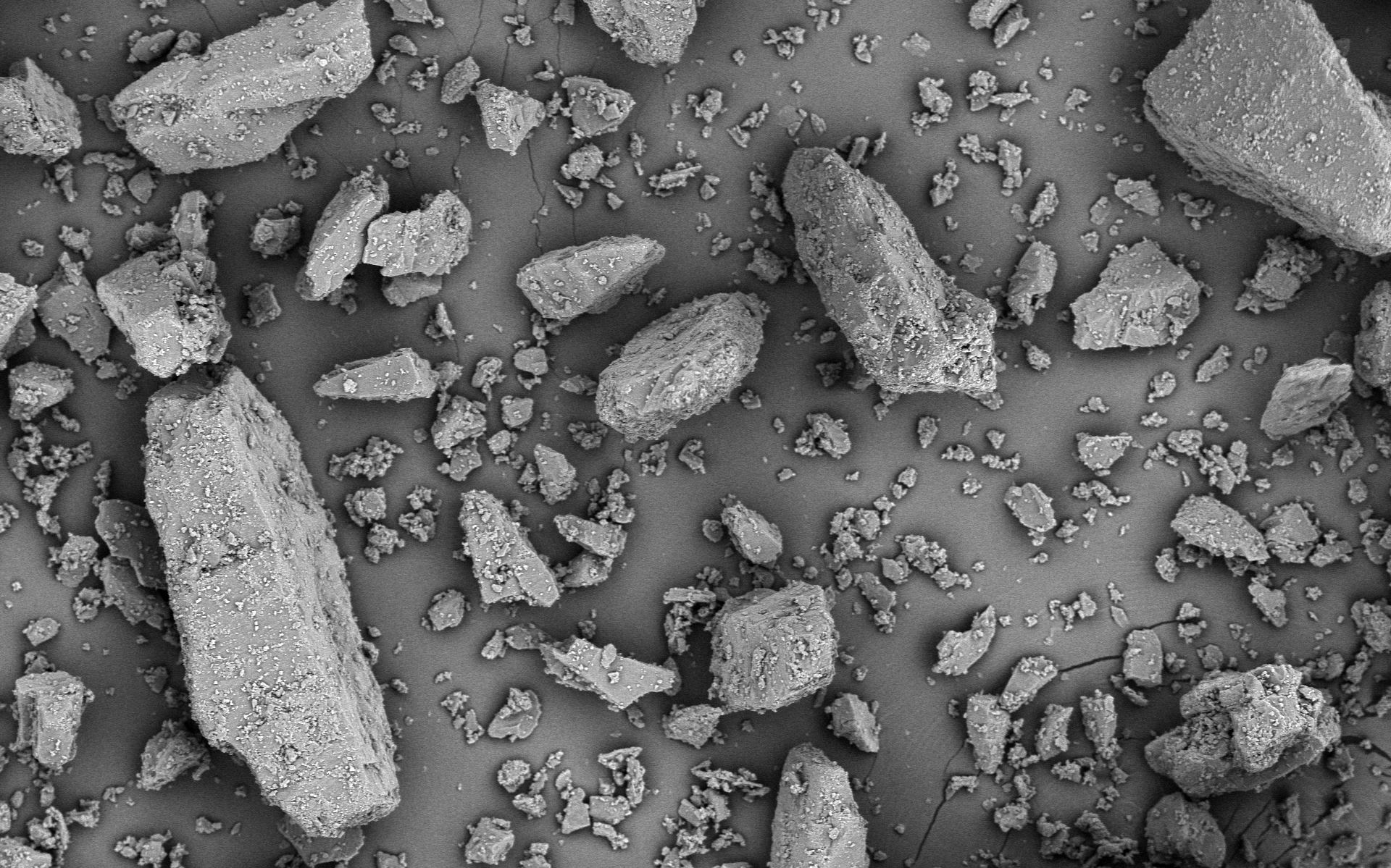 Lactochem Regular Powder Monohydrate Lactose Excipient