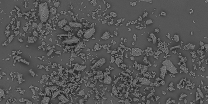 Lactohale 210 Milled Lactose Excipient